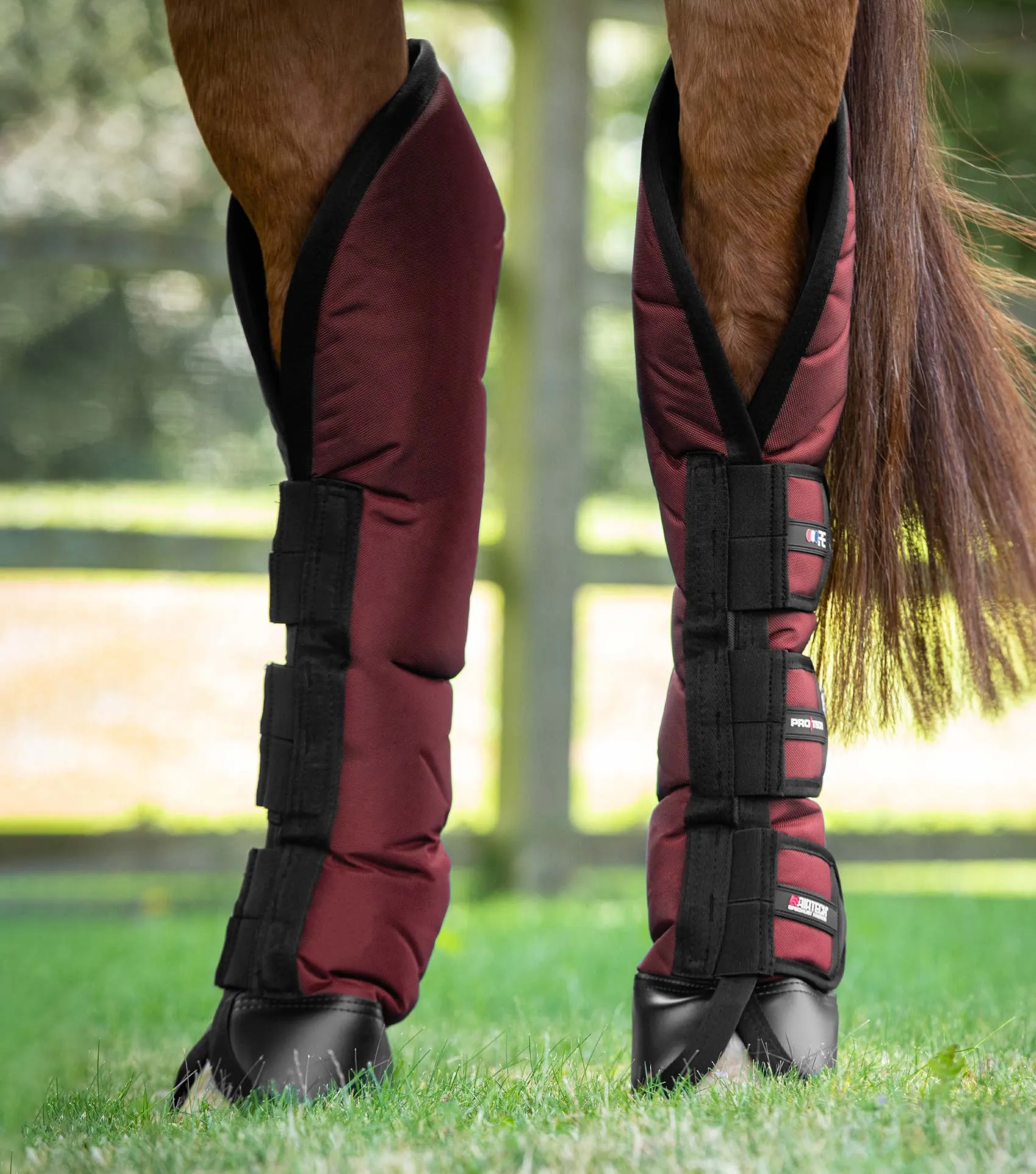 Ballistic Knee Pro-Tech Horse Travel Boots Burgundy